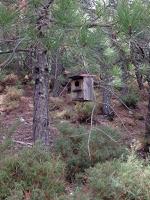 LA MONTAÑA Y LAS SETAS