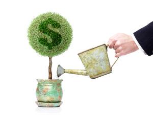 OPCIONES DE FINANCIAMIENTO A BAJO COSTO PARA EMPRENDEDORES