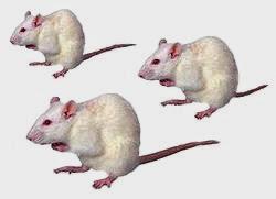 El experimento de Facebook y sus raíces con la C.I.A.