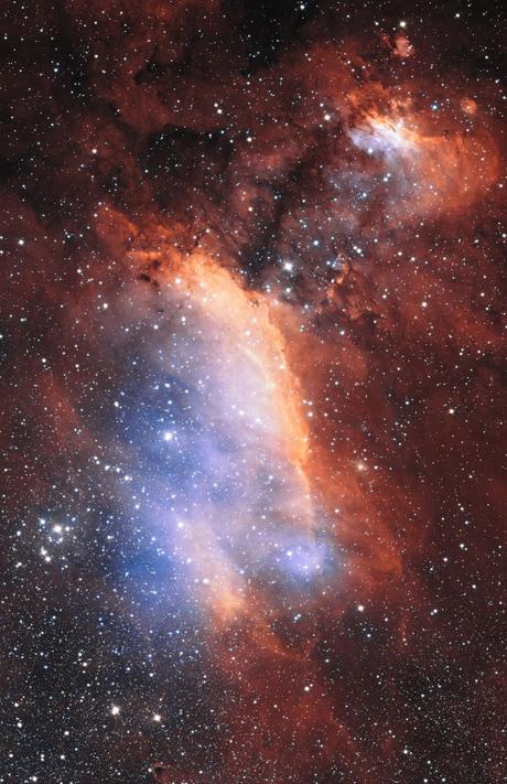 Cocinando estrellas jóvenes en la Nebulosa de la Gamba