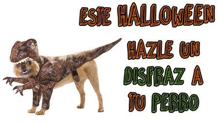 Ideas para que tu perro triunfe con su disfráz de Halloween