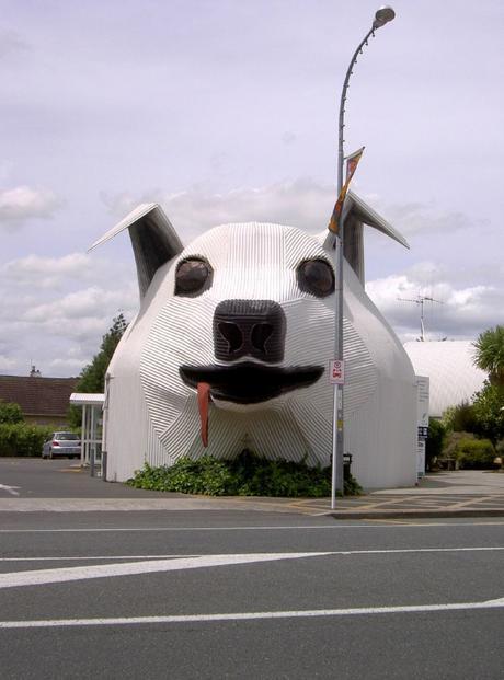 10 cosas increíbles sobre perros que puede que aun no sepas