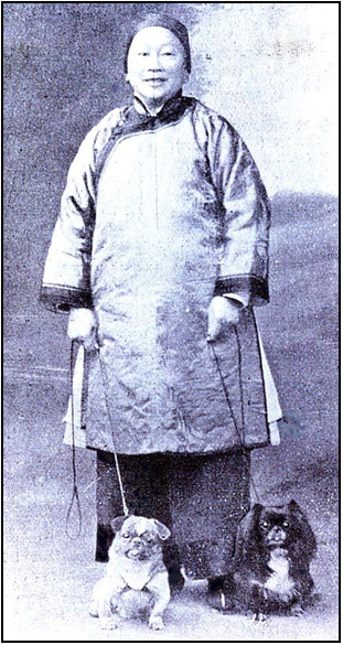 perro-pequines-china