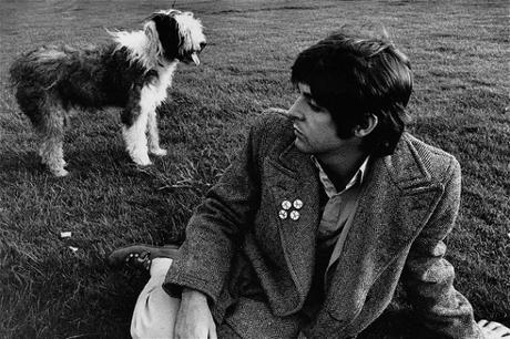 Maccartney-perro