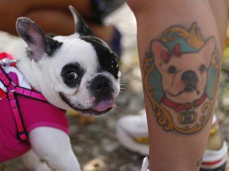 Tatuaje bulldog francés tatuaje-bulldog-frances