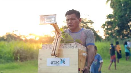 Las Plantalámparas, una idea cojonuda para generar luz gratuitamente plantalámpara tiempodepublicidad