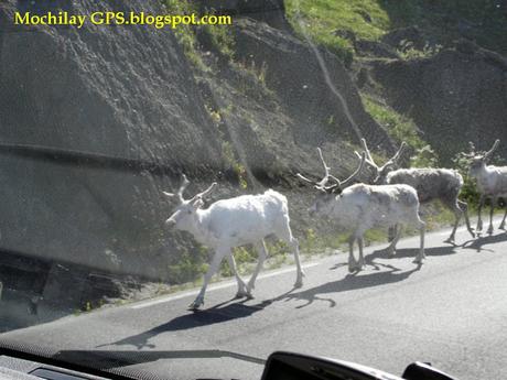 Noruega: un destino de ensueño en autocaravana