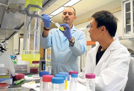 Un argentino descubre la funcion celular que regula la inflamación.