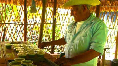 Yucatán preserva complejo sistema ancestral de medicina tradicional