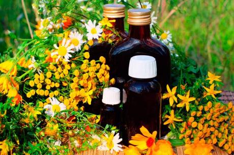 Yucatán preserva complejo sistema ancestral de medicina tradicional