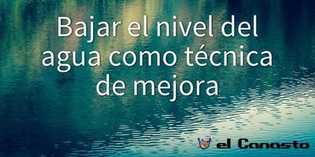Bajar el nivel del agua como técnica de mejora Bajar el nivel del agua como técnica de mejora