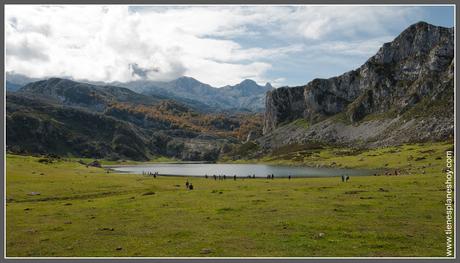 Lagos de Covadonga: Lago Ercina