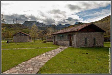 Lagos de Covadonga: Arboreto