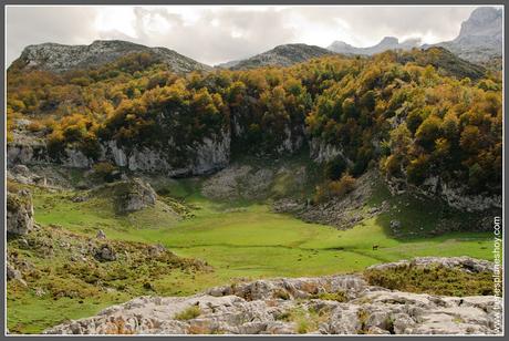 Lagos de Covadonga: Laguna Bricial