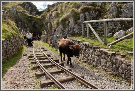 Lagos de Covadonga: Mina Buferrera