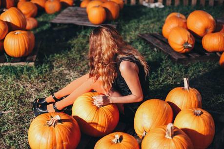 Pumpkins-orange-halloween-aminta-online-20