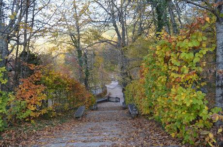 En busca del colorido del otoño...