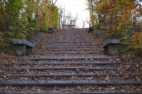 En busca del colorido del otoño...