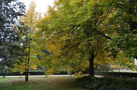 En busca del colorido del otoño...
