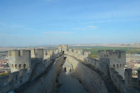 En busca del colorido del otoño...