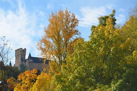 En busca del colorido del otoño...