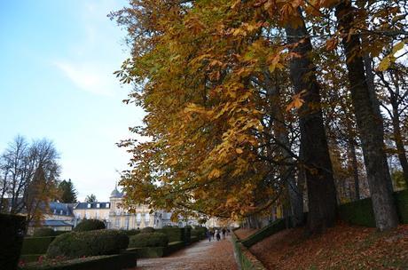 En busca del colorido del otoño...