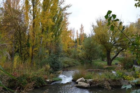 En busca del colorido del otoño...