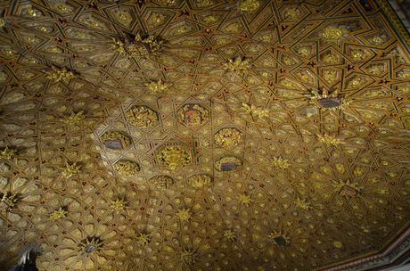 En busca del colorido del otoño...