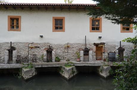 En busca del colorido del otoño...