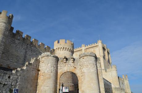 En busca del colorido del otoño...