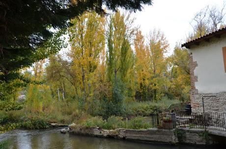 En busca del colorido del otoño...