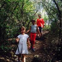 Agosteando y renovando Agosteando y renovando