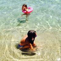 Agosteando y renovando Agosteando y renovando