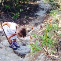 Agosteando y renovando Agosteando y renovando