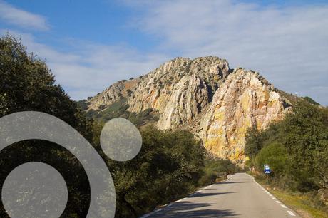 Monfragüe, mares de encina y “élite alada” parque nacional de monfrague 5