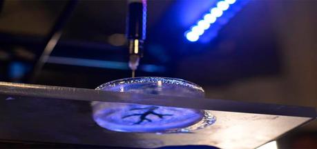 Reconstruir tejidos del corazón mediante impresión 3D