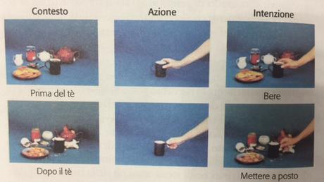 S.V.V. & Neuronas espejo