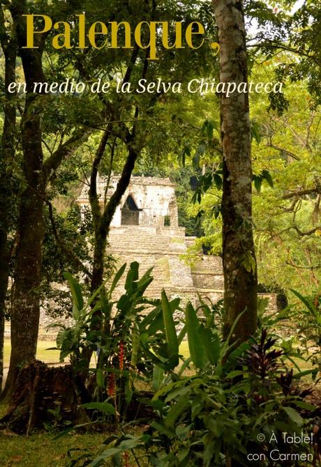Palenque, en medio de la Selva Chiapateca
