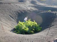 El creativo y espectacular paisaje de La Geria