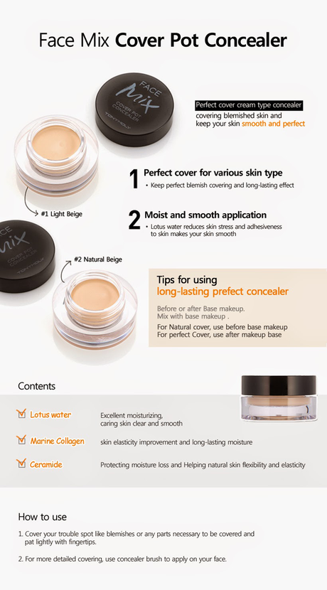 Review ~ Tony Moly - Face Mix Cover Pot Concealer