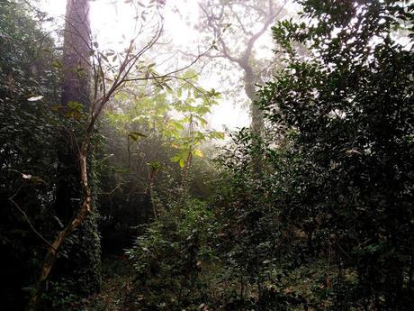 El jardín de La Saleta en otoño, del 1 al 31 de octubre de 2015. Saleta's Garden in autumn, October 1-31, 2015.