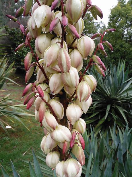 El jardín de La Saleta en otoño, del 1 al 31 de octubre de 2015. Saleta's Garden in autumn, October 1-31, 2015.