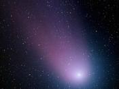 cometa 2001 (NEAT)