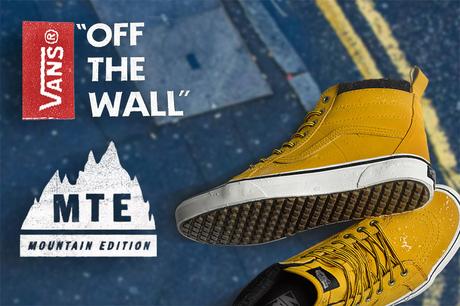 vans de invierno