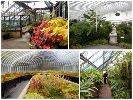 Jardín Botánico de Glasgow