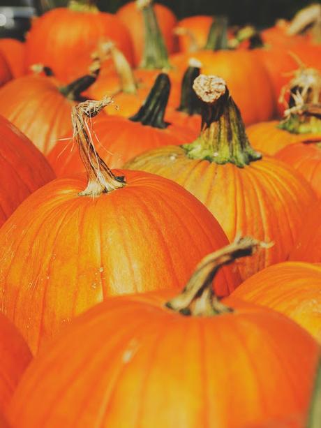 Cómo Hacer El Mal En Halloween Sin Disfrazarte