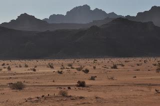 Llanuras de Wadi Rum