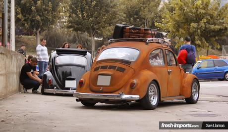 1ª concentración contra el maltrato animal. Coches y peludos