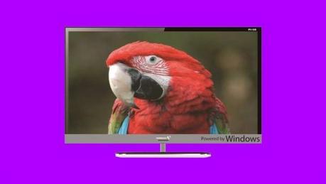 tv-windows-10