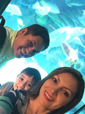 Día 8: Vacaciones en Familia - Acuario de Boston y The Chart Room